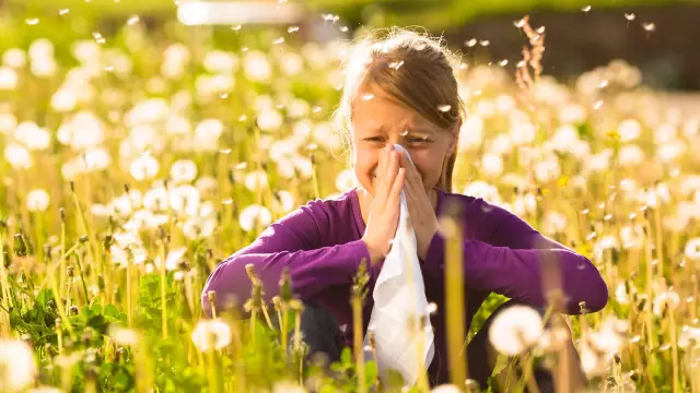 Wirkt Honig Als Heilmittel Gegen Allergien? - Healthline