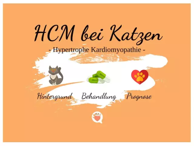 Hypertrophe Kardiomyopathie: Symptome, Ursachen Und Mehr