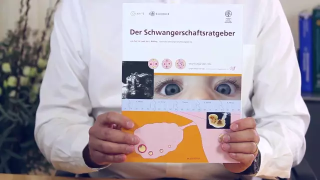 Was Passiert Während Der Schwangerschaftstrimester?